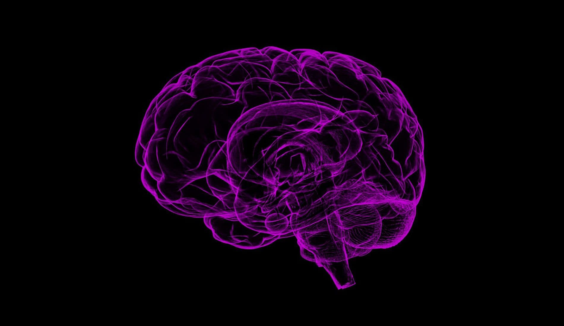 Image of brain