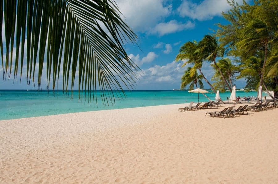 Culinary Journey: Best Places to Eat in Cayman Islands