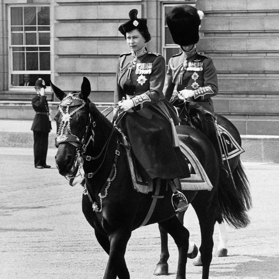 RCMP Horses