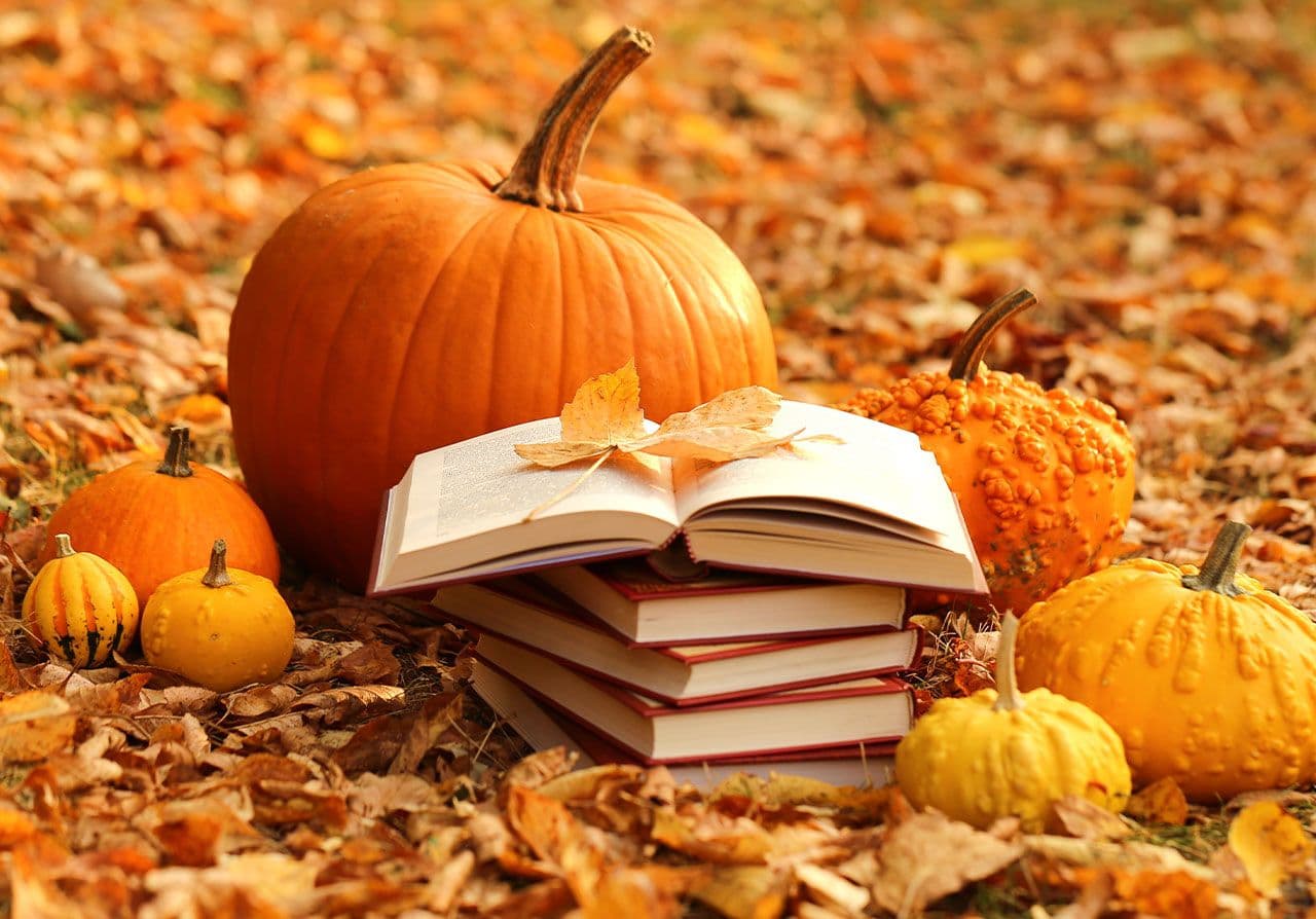 October Novel ENcounters