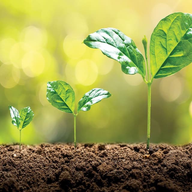 Sustainable Growth: How to Plan For An Extended Retirement