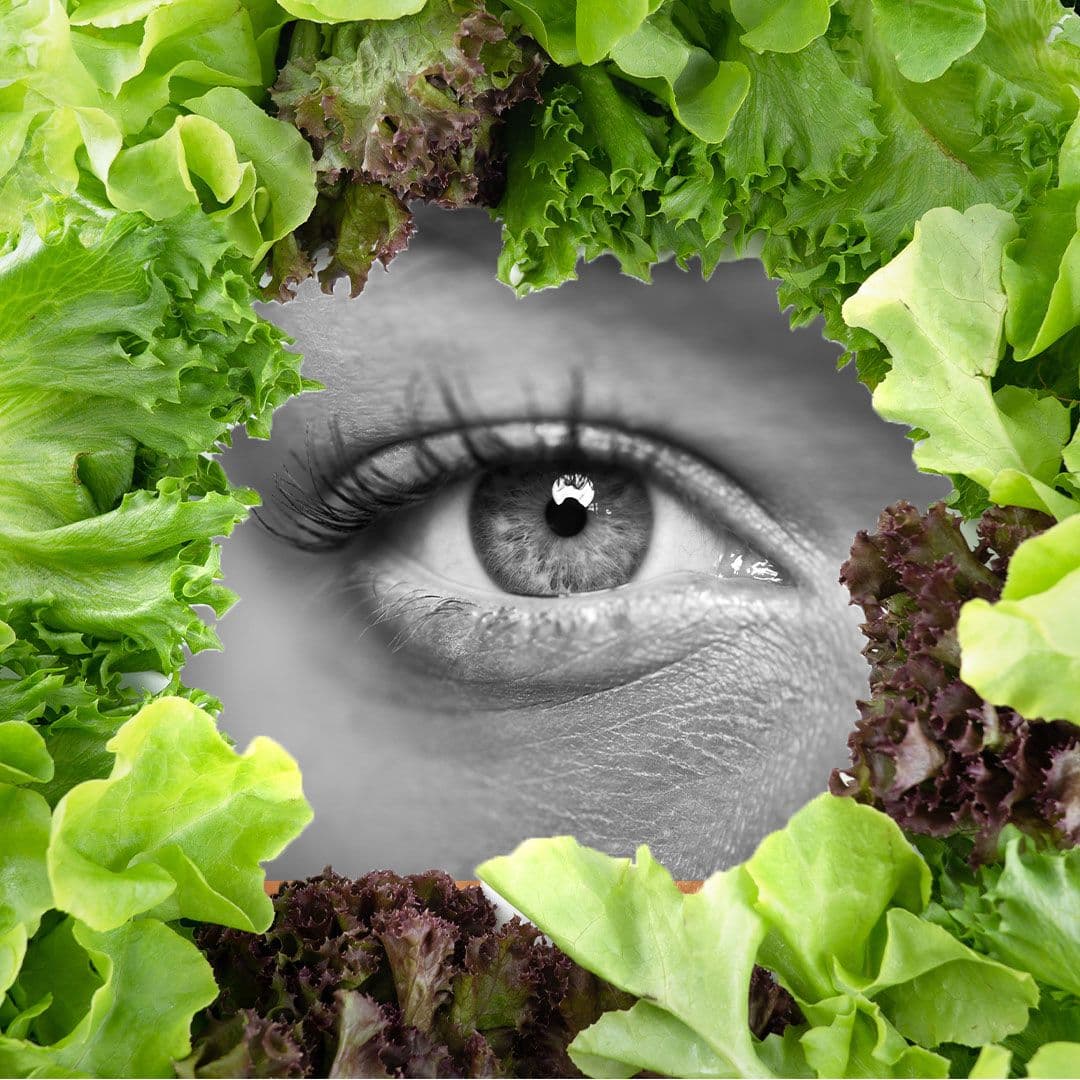 10 Facts About Glaucoma and How Leafy Greens Can Help Prevent it