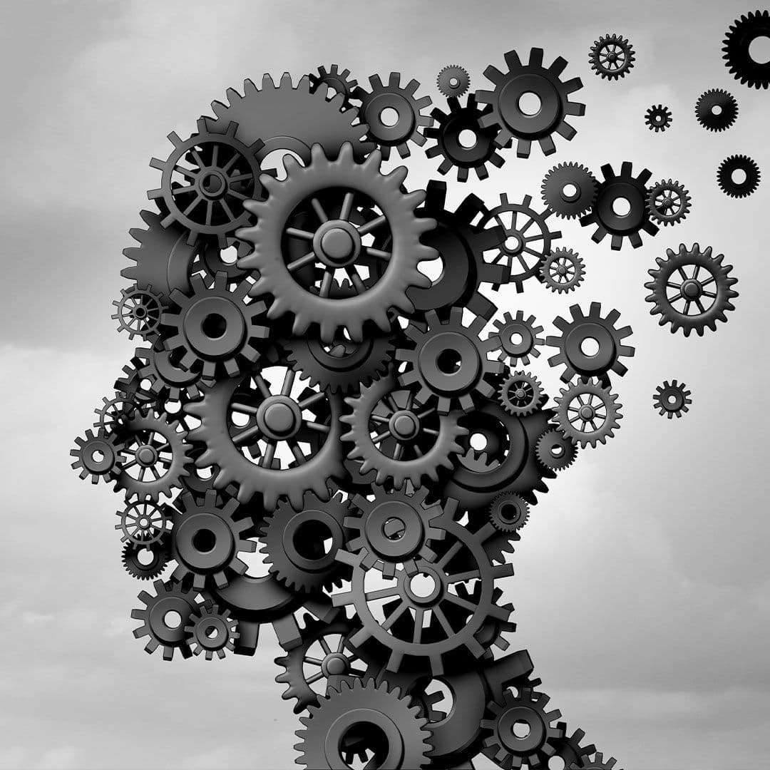 Brain