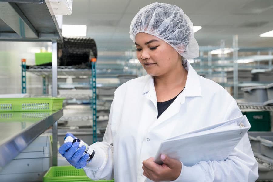 CBD: A Natural Alternative to <br> Age-Related Health Problems