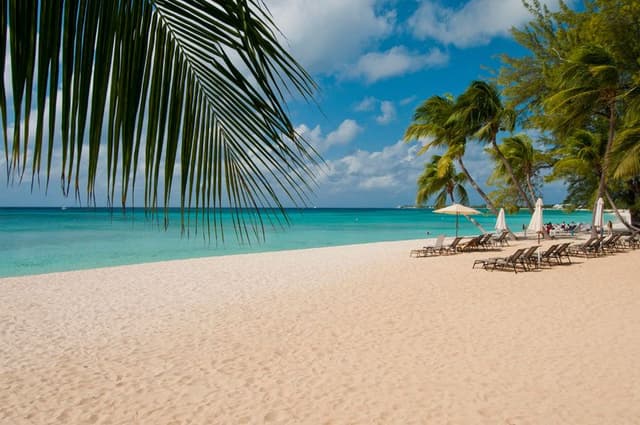 Culinary Journey: Best Places to Eat in Cayman Islands