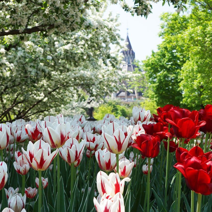 Ottawa