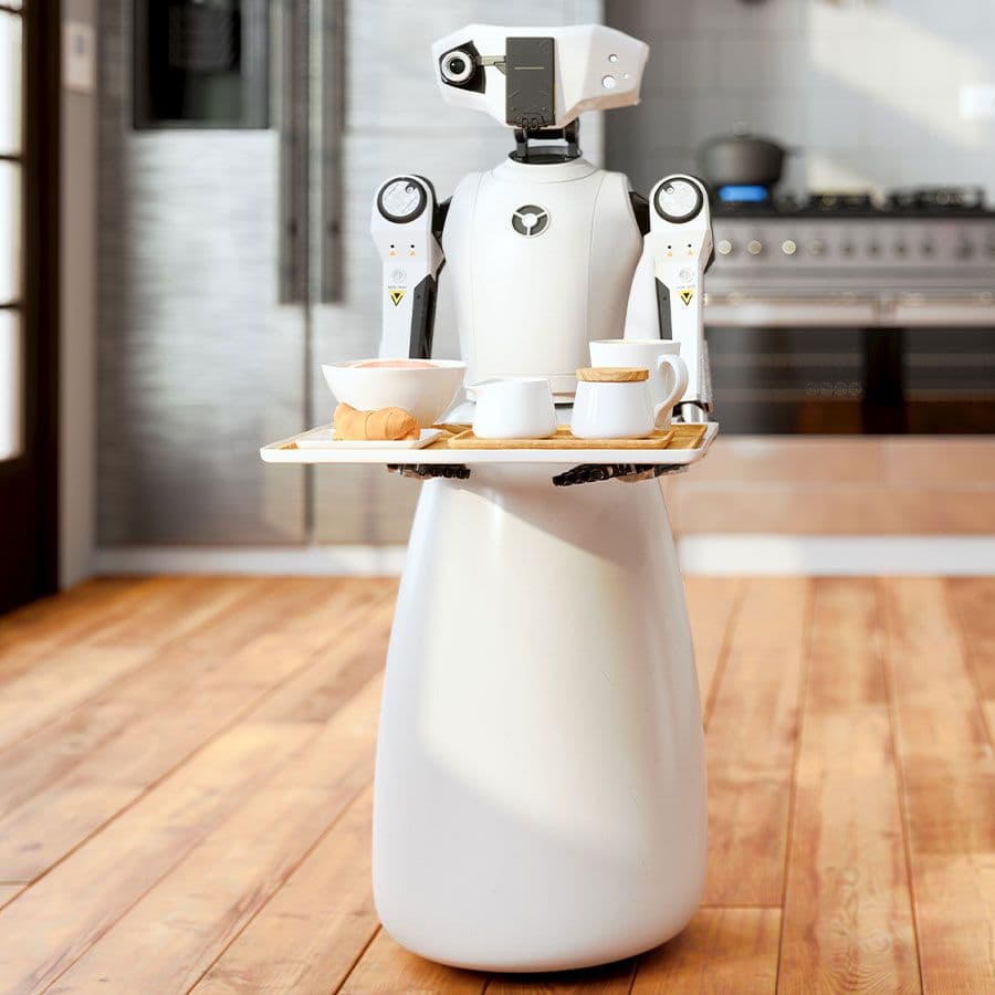 Robots