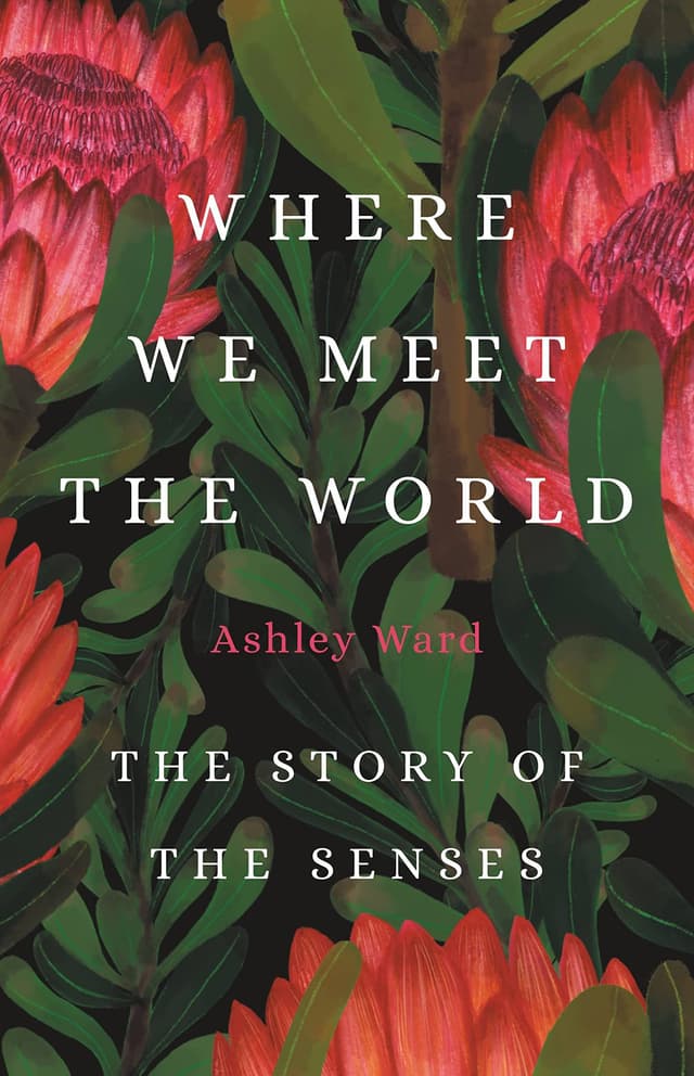 Where We Meet the World by by Ashley Ward