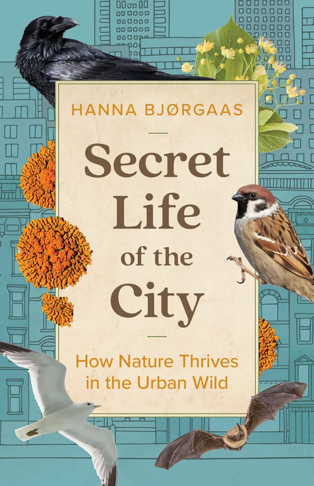 Secret Life of the City by by by Hanna Hagen Bjørgaas, trans. by Matt Bagguley
