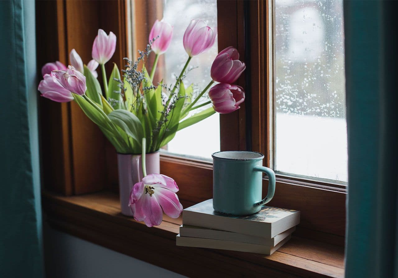 March Novel Encounters