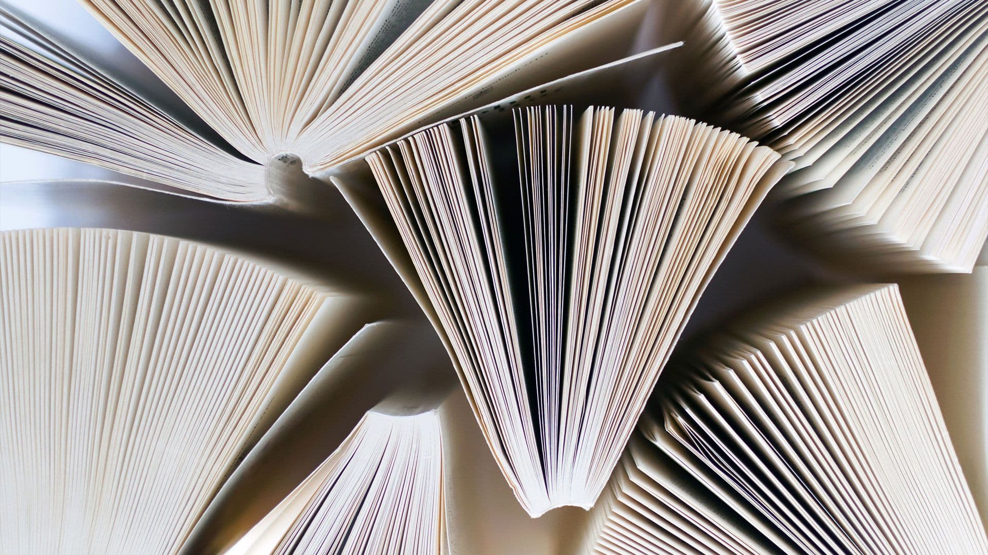Zed Books