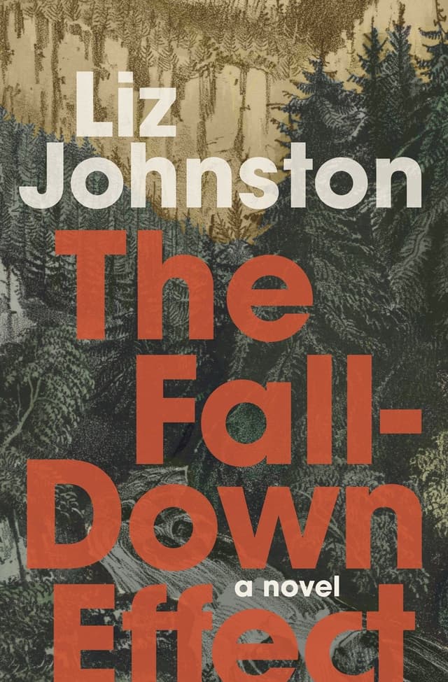 The Fall-Down Effect by by Liz Johnston