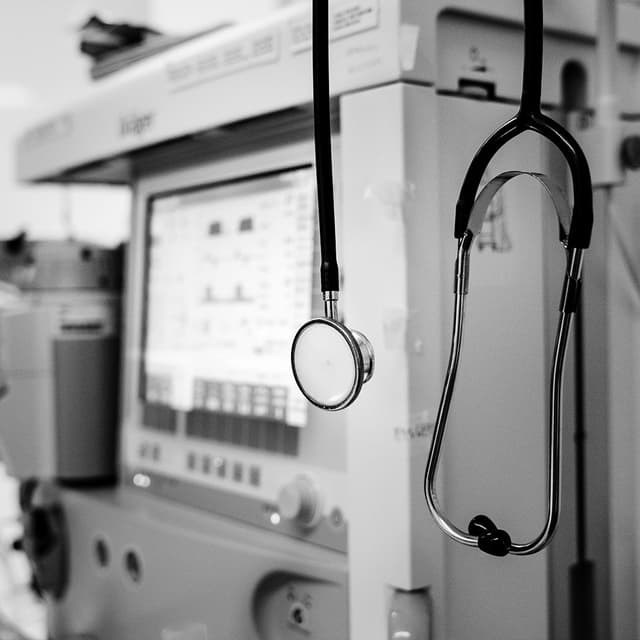 Hantavirus and the Thin Line Between Animal and Human Health